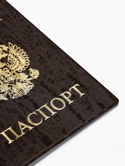 Обложка для паспорта, велюр, коричневая