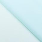 Пленка для цветов «Золотая полоса», нежный голубой, 57×57 см - Фото 2