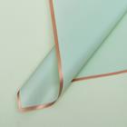 Пленка для цветов и букетов «Бронзовая полоса», тиффани, 57×57±1 см - Фото 1