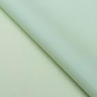 Пленка для цветов и букетов «Бронзовая полоса», тиффани, 57×57±1 см - Фото 2