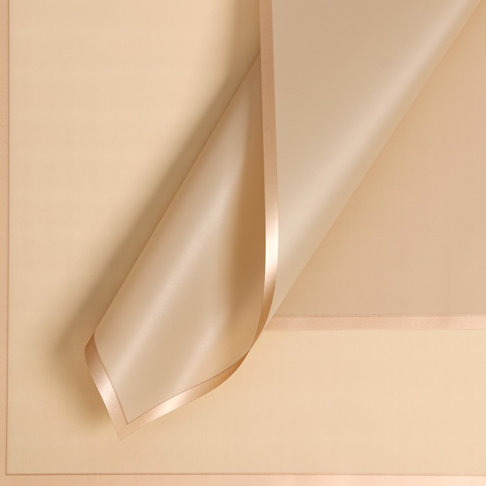 Пленка для цветов «Золотая полоса», кремовый, 58×58 см - Фото 1