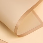 Пленка для цветов «Золотая полоса», кремовый, 58×58 см - Фото 2