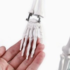 Анатомическая модель «Макет скелета взрослого человека», 85 см - Фото 6