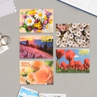 Карманный календарь "Цветы - 1" 2025 год, 7х10 см, МИКС - Фото 1