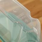 Ёмкость для хранения сыпучих продуктов, 900 мл, пластик, МИКС - Фото 8