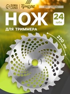 Нож для триммера ТУНДРА, 230×25.4 мм, 24 зуба 5089929 - фото 14737032