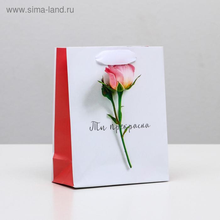 Пакет подарочный ламинированный вертикальный, упаковка, «Ты прекрасна», S 12 х 15 х 5,5 см - Фото 1