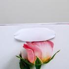 Пакет подарочный ламинированный вертикальный, упаковка, «Ты прекрасна», S 12 х 15 х 5,5 см - фото 21097308