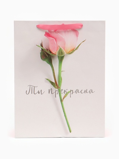 Пакет подарочный ламинированный, упаковка, «Ты прекрасна», L 31×40×11.5 см