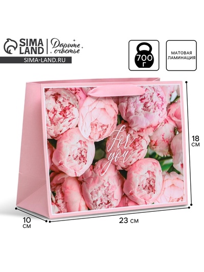 Пакет подарочный ламинированный, упаковка, «For you», MS 23×18×10 см