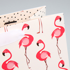 Пакет подарочный ламинированный горизонтальный, упаковка, «Фламинго», ML 27 х 23 х 11,5 см - Фото 5