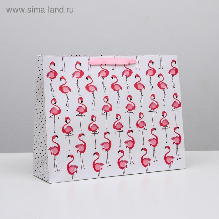 Пакет ламинированный горизонтальный «Фламинго», L 40 × 31 × 11,5 см - Фото 1