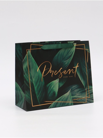 Пакет подарочный ламинированный, упаковка, «Present for you», ML 27×23×11.5 см