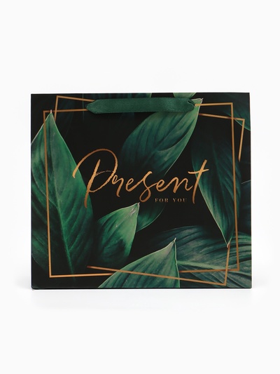 Пакет подарочный ламинированный, упаковка, «Present for you», ML 27×23×11.5 см