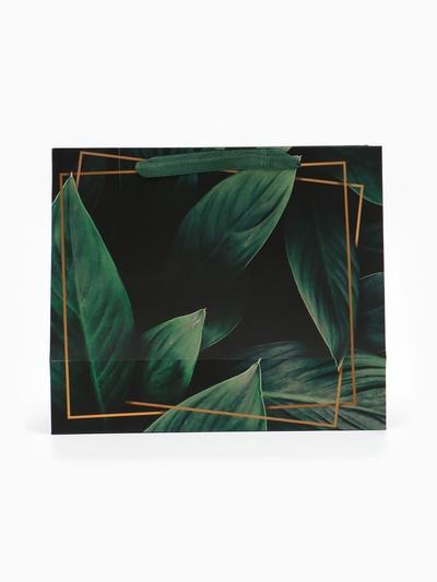 Пакет подарочный ламинированный, упаковка, «Present for you», ML 27×23×11.5 см