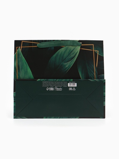 Пакет подарочный ламинированный, упаковка, «Present for you», ML 27×23×11.5 см