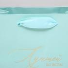 Пакет подарочный ламинированный вертикальный, упаковка, «Лучшей во всём», S 12 х 15 х 5,5 см - фото 24282769