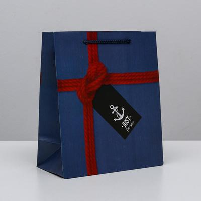 Пакет подарочный ламинированный вертикальный, упаковка, «Just for you», ML 23 х 27 х 11,5 см
