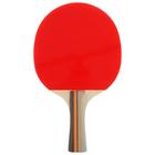 Ракетка для настольного тенниса BLACKWOOD, в чехле - Фото 2