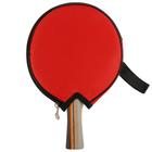 Ракетка для настольного тенниса BLACKWOOD, в чехле - Фото 4