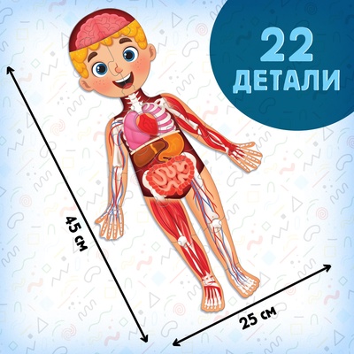 Подарочный набор «Моё тело», пазл с обучающей книгой
