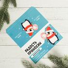 Обертка для шоколада «Радость Приносин», 18,2 × 15,31 - Фото 1