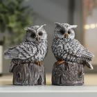 Фигурка полистоун «Филин на пеньке», 9×7×5 см, МИКС - Фото 1