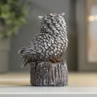 Фигурка полистоун «Филин на пеньке», 9×7×5 см, МИКС - Фото 5