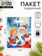 Пакет «Дед Мороз и Снегурочка», полиэтиленовый с вырубной ручкой, 31×40 см - Фото 1