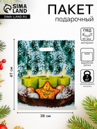 Пакет подарочный новогодний «Покров», полиэтиленовый с вырубной ручкой, 38×47 см - Фото 1