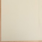 Пленка для цветов "Бронзовая полоса", нежно-желтый, 57 х 57 см - Фото 3