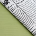 Плёнка матовая двухсторонняя «Газета» зелёный, 0.58×0.58 м - Фото 2