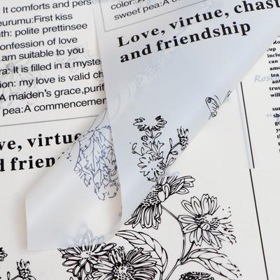 Плёнка матовая «Флористическая статья» белый, 57×57 см ±5% см