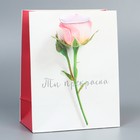 Пакет подарочный ламинированный вертикальный, упаковка, «Ты прекрасна», MS 18 х 23 х 10 см - Фото 1
