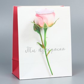 Пакет подарочный ламинированный вертикальный, упаковка, «Ты прекрасна», MS 18 х 23 х 10 см