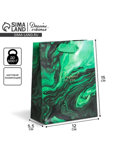Пакет подарочный ламинированный, упаковка, «Present for you», S 12 х 15 х 5.5 см