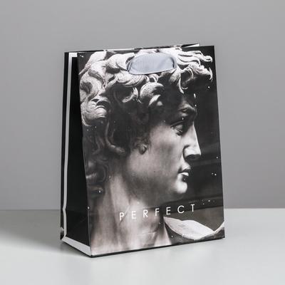 Пакет подарочный ламинированный вертикальный, упаковка, «Perfect», S 12 х 15 х 5.5 см