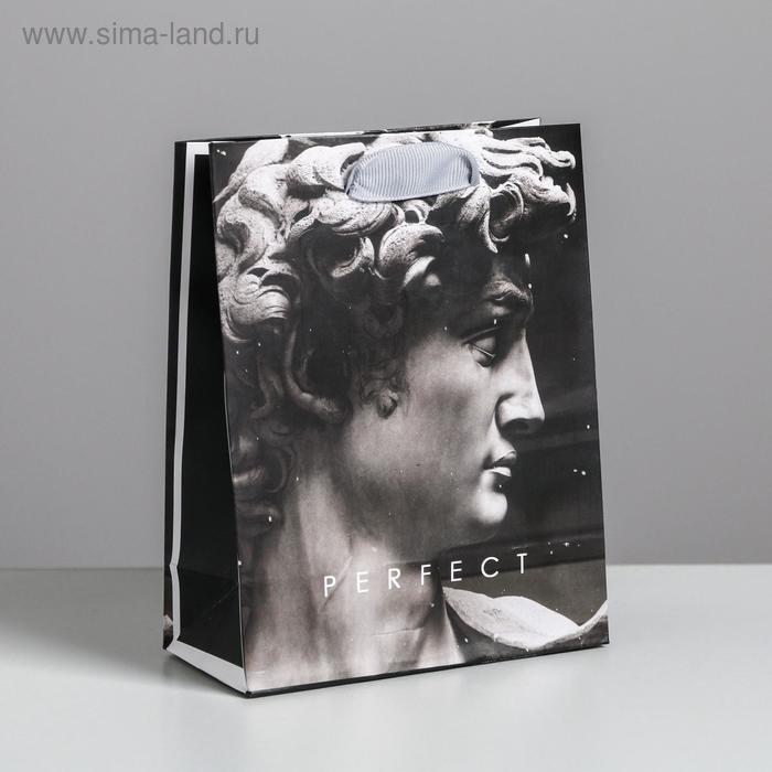 Пакет подарочный ламинированный вертикальный, упаковка, «Perfect», S 12 х 15 х 5.5 см - Фото 1
