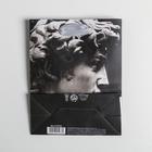 Пакет подарочный ламинированный вертикальный, упаковка, «Perfect», S 12 х 15 х 5.5 см - Фото 4