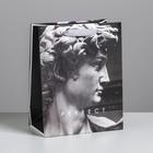 Пакет подарочный ламинированный вертикальный, упаковка, Perfect, MS 18 х 23 х 10 см - Фото 1