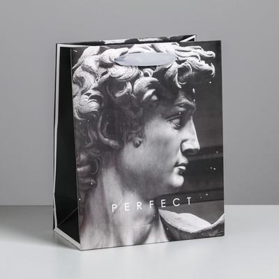 Пакет подарочный ламинированный вертикальный, упаковка, Perfect, MS 18 х 23 х 10 см