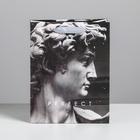 Пакет подарочный ламинированный вертикальный, упаковка, Perfect, MS 18 х 23 х 10 см - Фото 2