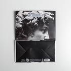 Пакет подарочный ламинированный вертикальный, упаковка, Perfect, MS 18 х 23 х 10 см - Фото 4