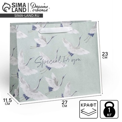 Пакет подарочный крафтовый, упаковка, Special for you, 27 х 23 х 11.5 см