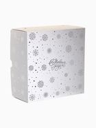 Набор из 4-х ёлочных шаров d=10 см «Зимний сон» - Фото 20