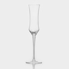 Бокал из стекла для шампанского «Кира», 180 мл, 7×25,5 см - фото 318357455