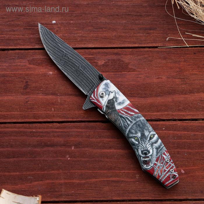 Нож складной "Вожак" сталь - 95х18, рукоять - венге, 23 см - Фото 1
