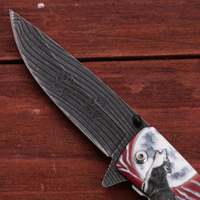 Нож складной "Вожак" сталь - 95х18, рукоять - венге, 23 см - фото 1908580127