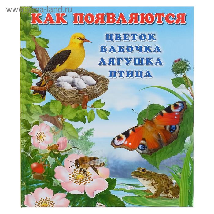 Как появляются цветок,бабочка,лягушка,птица - Фото 1