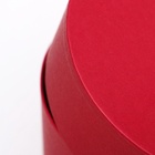 Набор круглых подарочных коробок 5 в 1 «Пантон 200», однотонный, 23×23×14 - 15×15×10 см - Фото 11